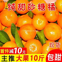 ɰ���ُV�����ﱡƤ�������r�ЋDˮ���������l���]����վ���uͨ