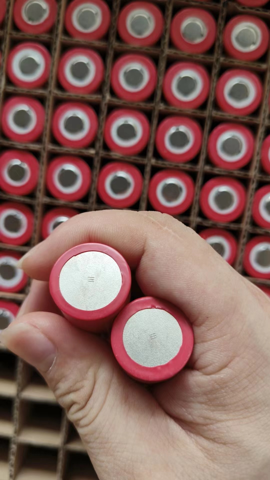 微信图片_20231023122909