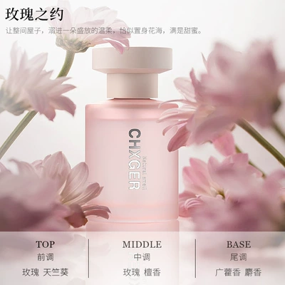 Fresh and Deodorant Car Interior – Car Perfume Aromatherapy - appointment-with-roses-160ml