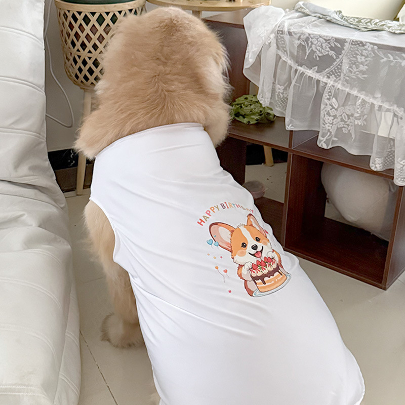 흰색 조끼 생일 시리즈 코기