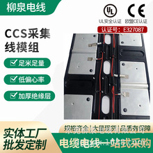 BMS�źŲɼ��ߴ���Pack�ź�����CCS�ɼ�ģ����·����Դ���������