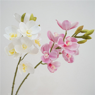 ���s���·����ָЙ���ޥ�m���͏d�����廨�b����Ԕ[����c��ˇ