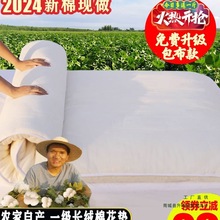 �½����|�����|���������|������|�W��������������ޱ�䁴��|��