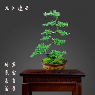 �����辰ӭ�������P�������Եذ��҃����ɰؾ��^�������ͺ��ͺ�