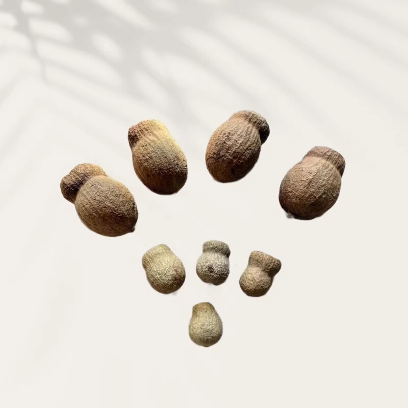 Natural-Colored Imported Lucky Fruit, Fortune Fruit, Zombie Fruit, Shooter Fruit, Handmade Bean Pods