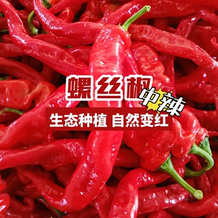 ���r�tɫ�������������Fժ�F�l���uԭ���r�ҷʷNֲ��t����