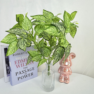 �羳��Ʒ�ٻ�7��GֲС�ݲ廨�G�ݹ��̼��bGֲ��ĝu׃ɫ���~