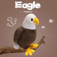 可爱仿真公仔毛绒玩具白头翁老鹰小鸟玩偶摆件布娃娃送礼品可批发