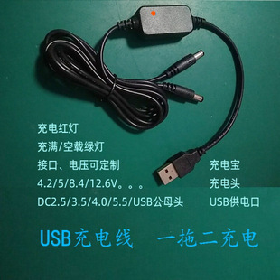 Boost line 8.4v 12.6v1a double-headed lithium battery charger one drag two double output heating gloves insole