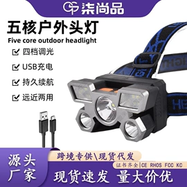 手电筒;头灯头戴电筒;道路照明灯