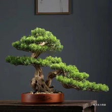 �҃ȿ͏d�ɘ�ӭ�����辰�����ɘ��쾰С�ɘ����Ի����������ɘ�