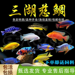 ���������~�ھ����ӻ��w��С�����B�׻�Ꭷ�^�p�~�R��̹����ˮ�~