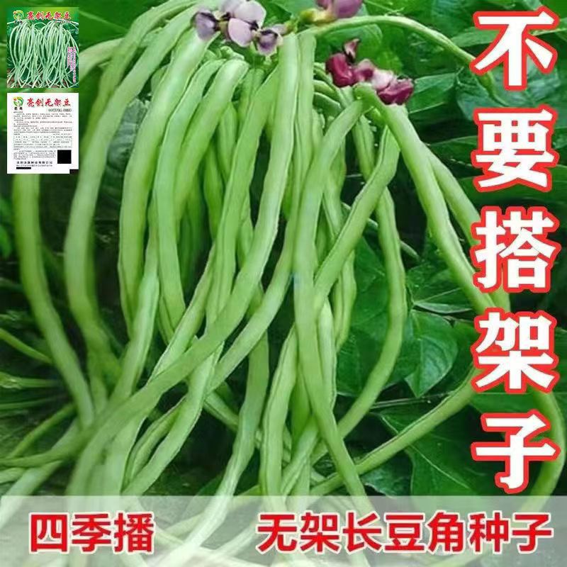 无架豆角种子地豆不搭架豇豆种籽优选庭院盆栽蔬菜种子大全