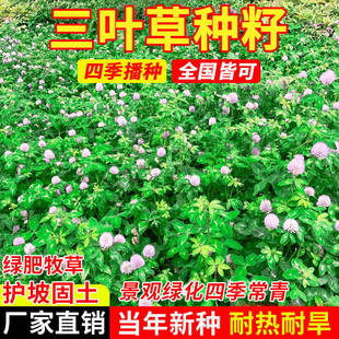 �M�����~�ݷN�Ѱ����~�t���~�ͺ����@�G���ļ����@�־G����ƺ�N��