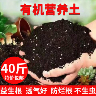 �I�B���N���N���B��ͨ���Ͳ������������Ԍ����������ѹϹ�