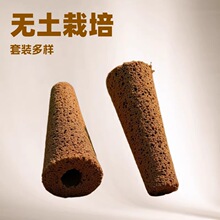�ЙC�o��������|ˮ��Nֲ�C����K���NǤ��̿�ඨֲ���d ���L