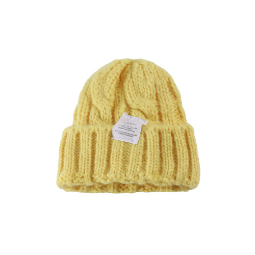 Knit Hat for Women Autumn, Warm and Windproof, Versatile Hooded Hat, Korean Style, Casual and Fashionable, Loose Ear Warm Winter Hat