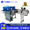 alcohol Hydrogen Peroxide bottle cap Testing machine vision testing system Black spots Stain Impurities machine bottle cap testing equipment