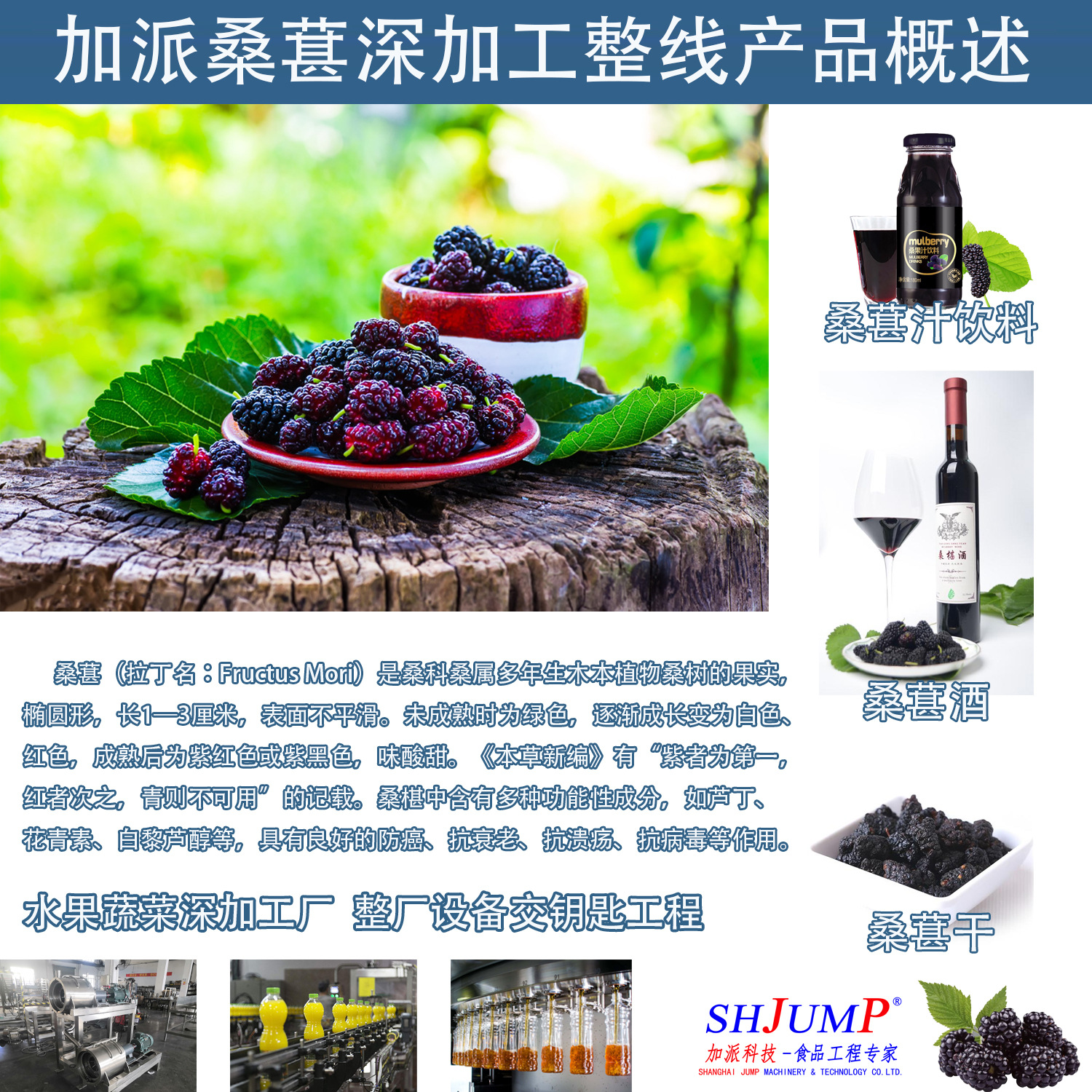 桑葚加工生產線