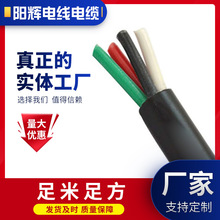 �����~о��ȼ��|WDZ-YJV 3~5о10~300ƽ���͟��o�u��ȼ��|