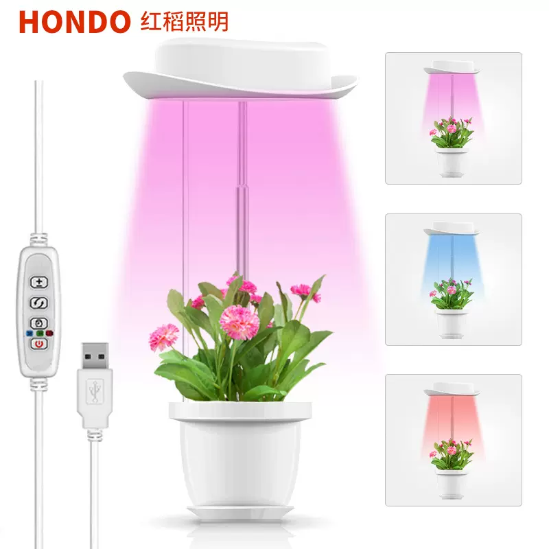亚马逊LED牛仔帽植物生长灯USB调光定时绿植花卉全光谱多肉补光灯