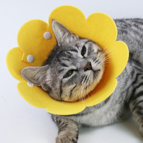 Elizabethan circle non-woven pet cat headgear sunflower snap collar anti-licking, biting and scratching sterilization circle of shame