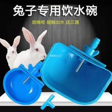 兔用饮水碗全自动兔子饮水器防啃咬兔子喝水盒兔子饮水碗兔子水槽