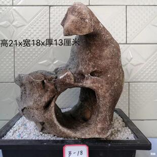 �V����Ȼԭʯ��ɽ�������P�~��ͥԺ�辰��ʯ�^�pʯ���^�[��