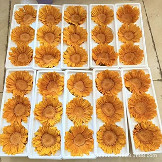 永生花向日葵保鲜太阳花教师节礼物摆件DIY配材花艺礼品制作批发