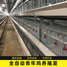 供应立体式全自动青年鸡笼 热镀锌养殖笼具全自动鸡笼养殖设备厂