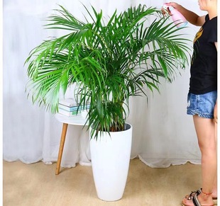 ������ô�̖�͏d���s���ϼӺ����԰lؔ����Ѫ�������B��ڏ�����