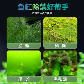 黑壳虾套餐水族箱除藻虾观赏虾清洁虾活体饲料工具虾草缸鱼缸造景