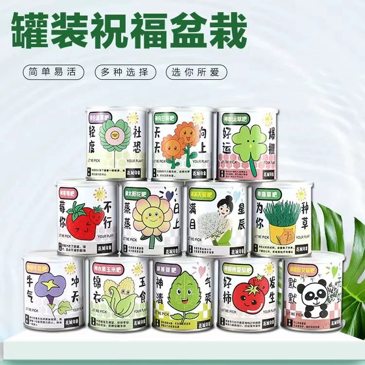 Подсолнух, легко живущее консервированное растение в горшке, ленивый набор для родителей и детей, мини-самостоятельно выращенные фрукты и овощи, креативный подарок на рабочий стол