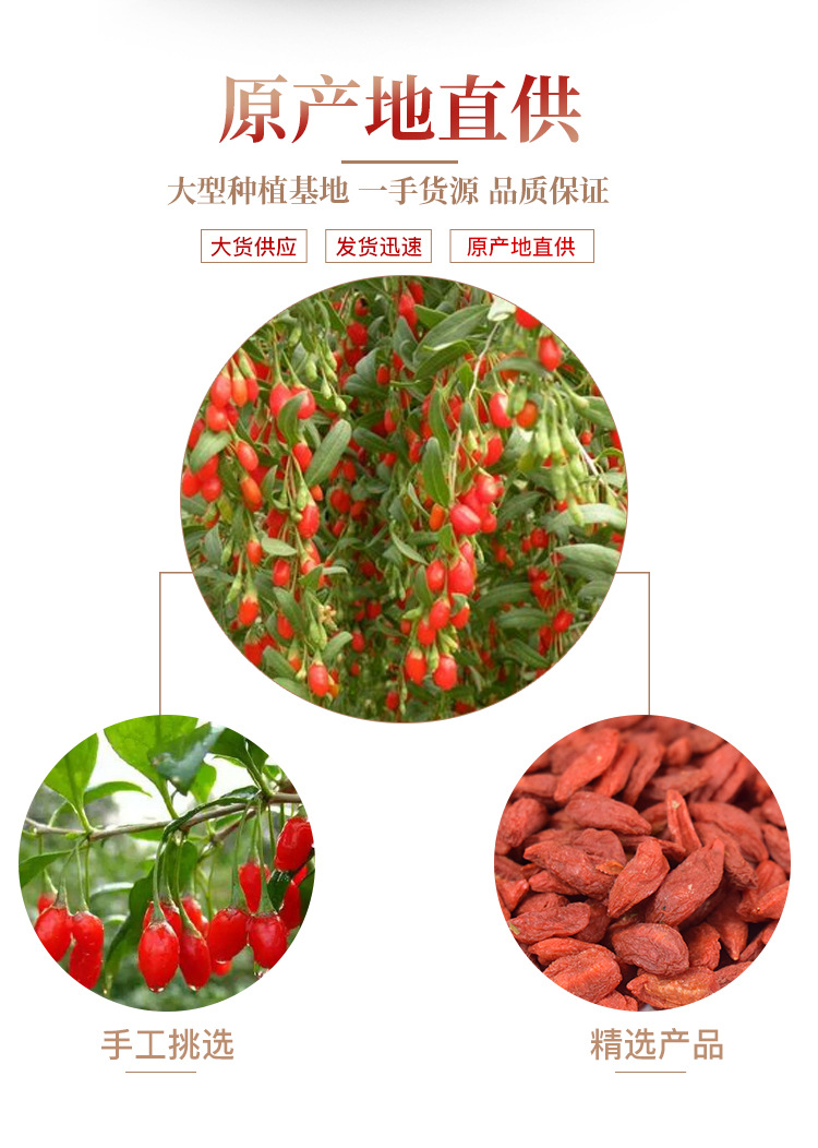 Ningxia Goji Berries Gou Qi Zi 500g Dried Red Wolfberry for Tea Soup and Snacking quality and texture