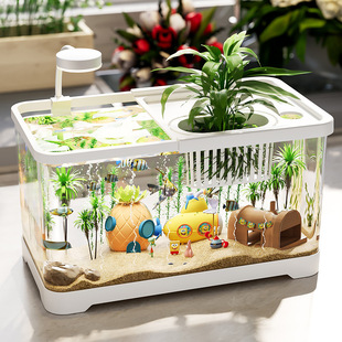 Hot Selling Aquarium Plastic Transparent Goldfish Tank with Lid, Home Living Room Ecological Desktop Tank, Turtle Breeding Fish Tank