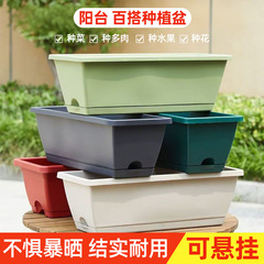 長方形の野菜ポット、プラスチック植木鉢、細長い多肉植物、屋内バルコニーの緑の植物、屋外の花、シンプルな樹脂ポット
