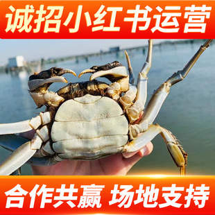 �YƷ���lз�����؛Դ������С�t���\�I�_�˺����r��Դ�^ֱ��