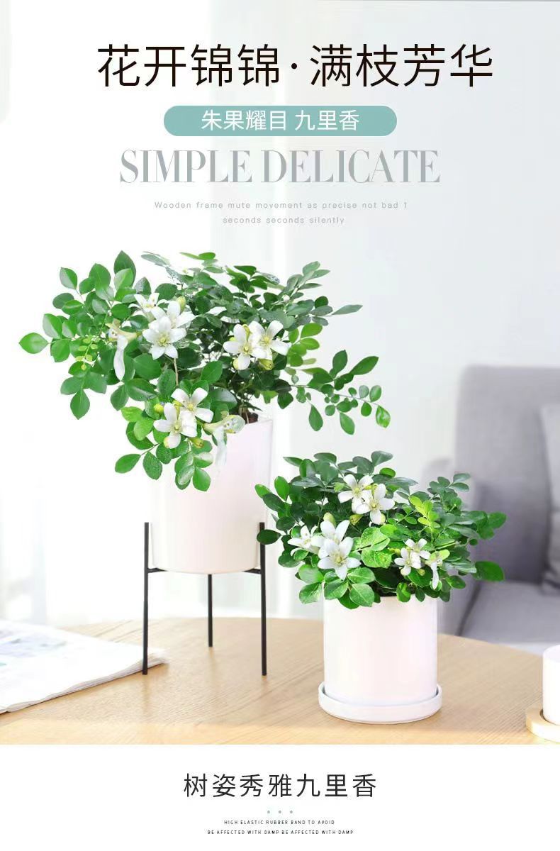 微信图片_20230318080531