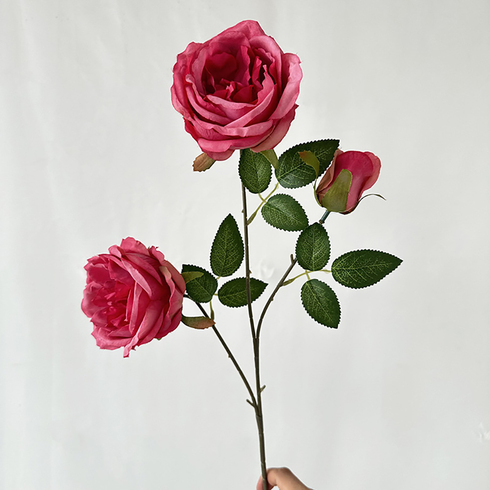 취한 마오스틴 로즈 핑크 3개