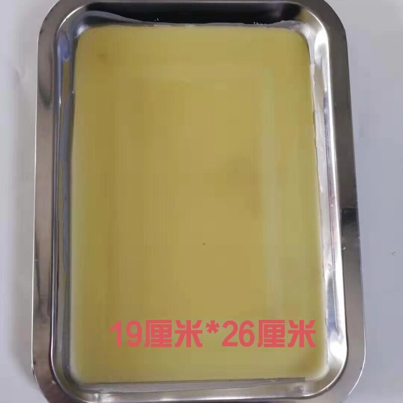 27003 dissecting plate, wax plate, stainless steel dissecting plate junior high school biological anatomy experimental equipment 19cm * 26c