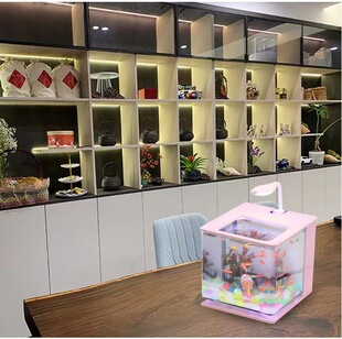 Fish tank living room small goldfish bowl desktop creative acrylic plastic mini water-free lazy bucket