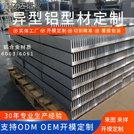 异型铝合金型材6061铝合金源头厂家支持表面喷涂