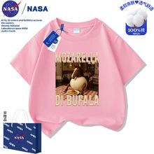 NASA��ͯɽ�����������T��tungtungsahur�д�ͯ�ļ��¿�����