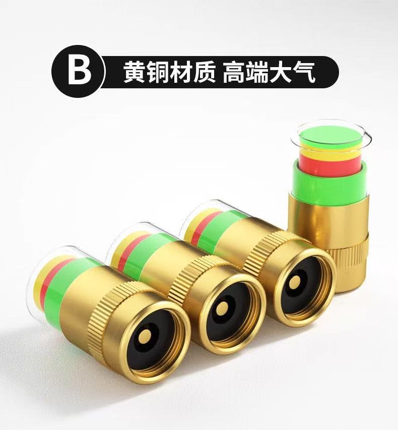 Tire Pressure Monitoring Cap Tire Pressure Cap Pressure Cap Valve Core Tire Pressure Tire Pressure Monitor Tire Pressure Cap
