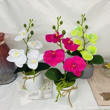2026�ָ�PU�������m���b�ˇ�[���͏d�ٻ��������������R��