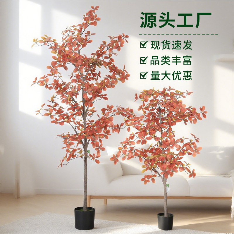 Artificial Plant Autumn Color Fortune Tree Eucalyptus Money Leaf Tree Indoor Floor-Standing Bonsai Nordic Style Decoration Artificial Plant Autumn Color Fortune Tree Eucalyptus Money Leaf Tree Indoor Floor-Standing Bonsai Nordic Style Decoration