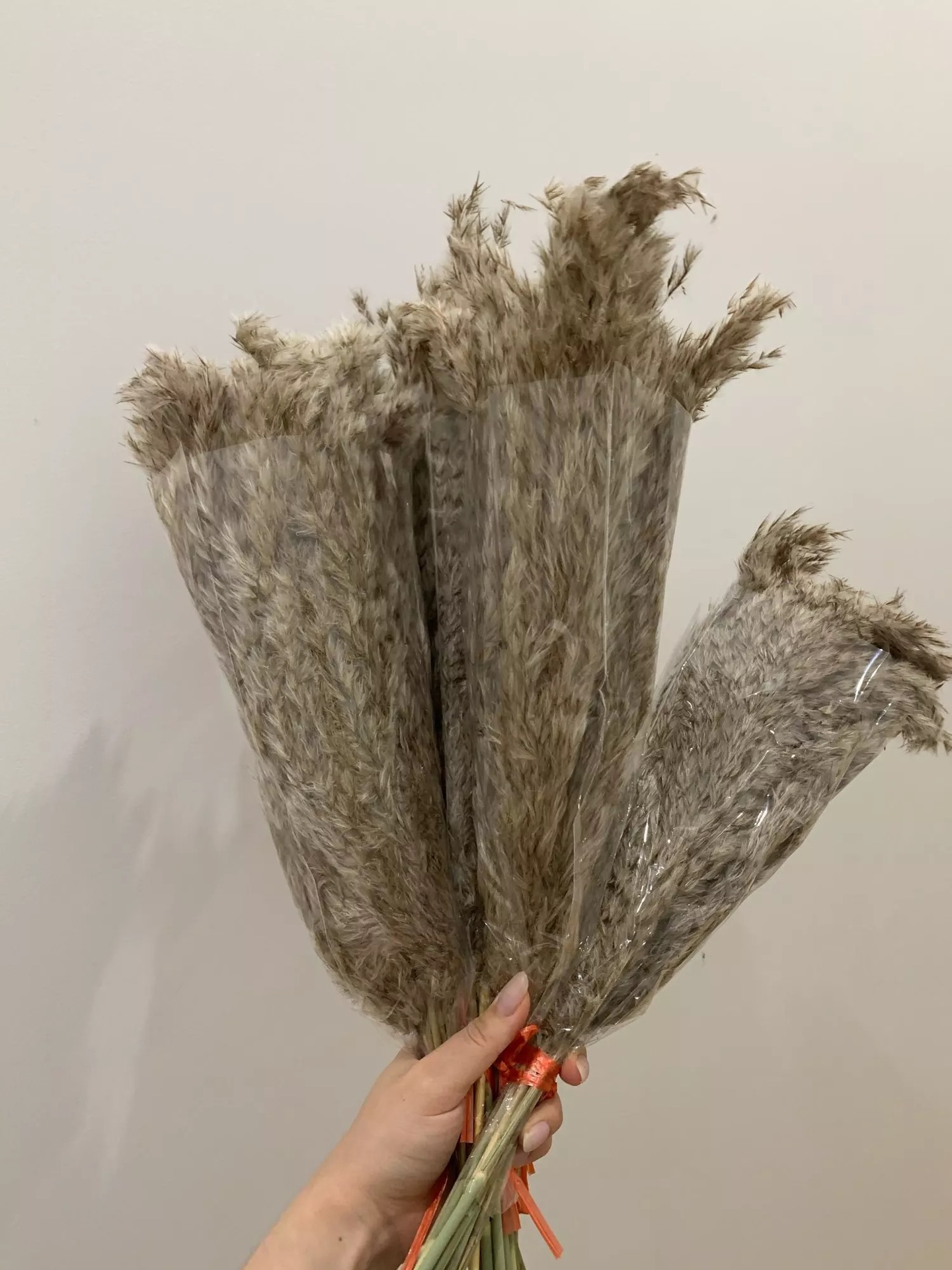 微信图片_202109271354205