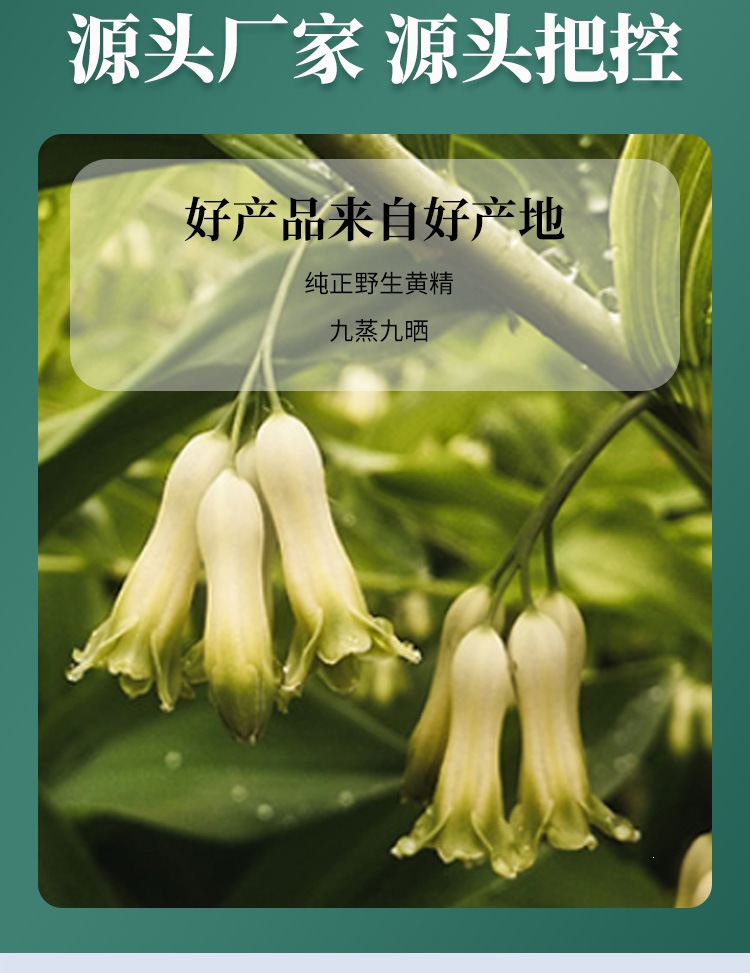 Nine-Steamed Nine-Dried Polygonatum Rhizome Huang Jing 10kg Wholesale Bulk Traditional Processed Herb overview