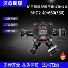 �V�ø�������|�Ӿ��� BHD2-40/660(380)-234T�T�F�����־������l