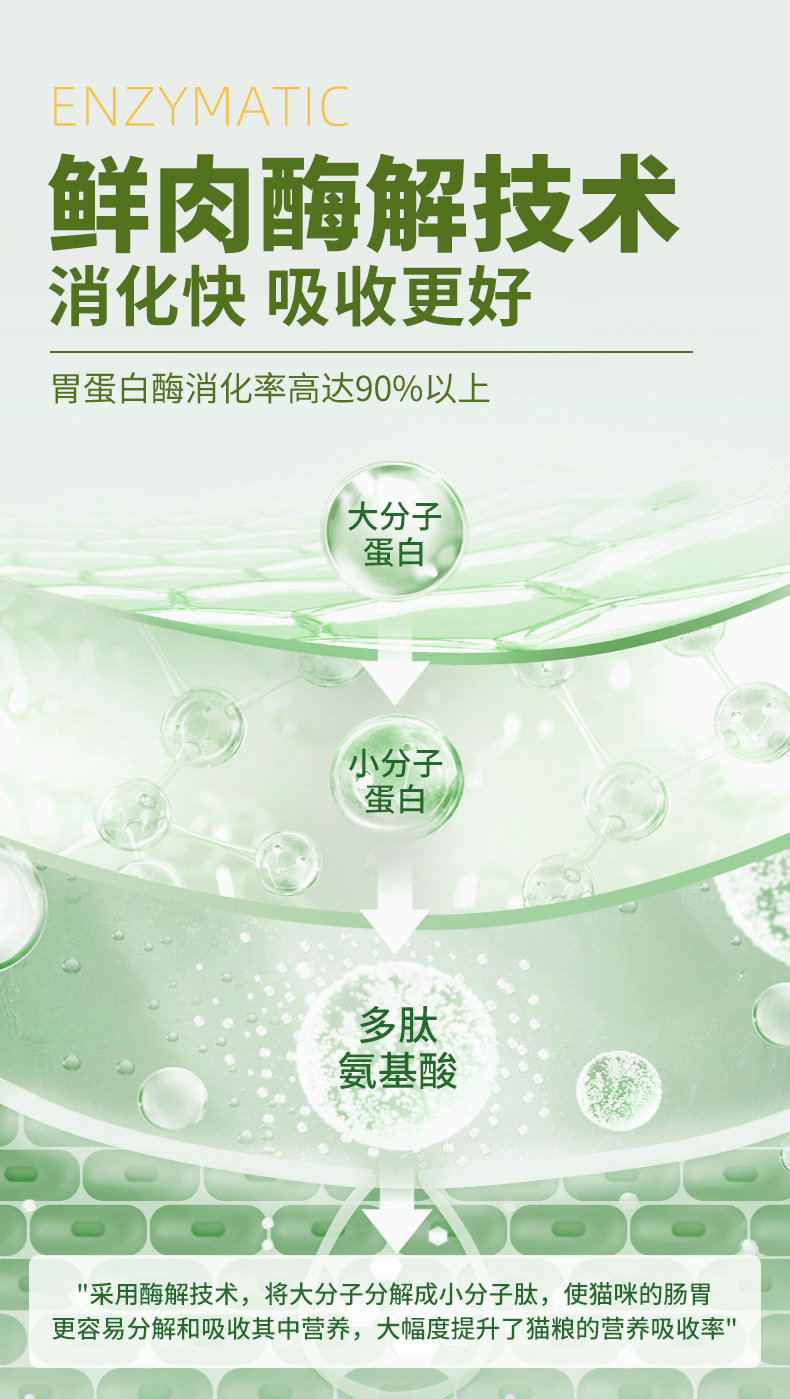 猫头主粮通用详情_08